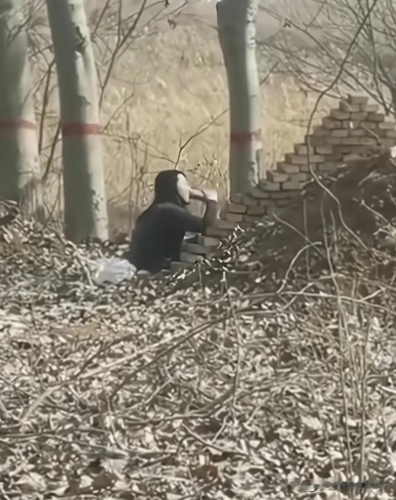 女子独自给死去的丈夫上坟，对着丈夫墓碑喝酒被拍下，
他们生前一定很相爱吧？
对于