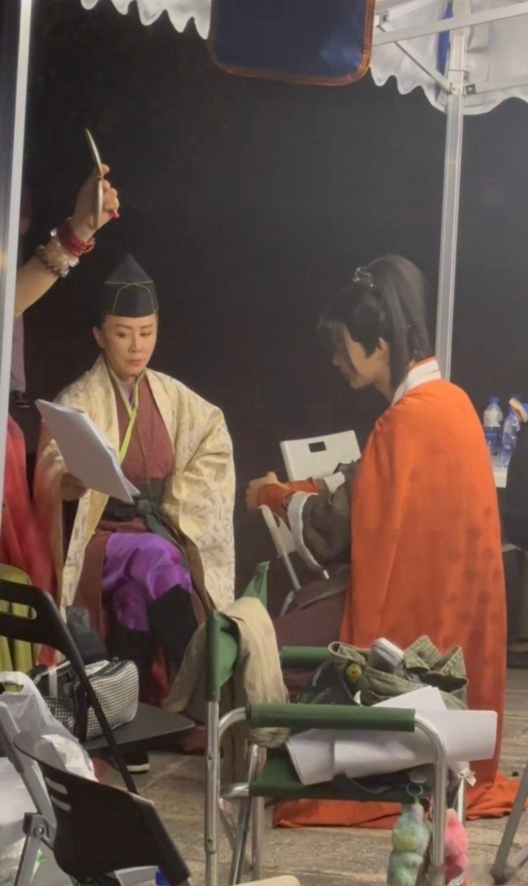柯淳也是和刘嘉玲演上笑傲江湖了柯淳这回是真的支棱起来了！《一路繁花》全员古装超吸