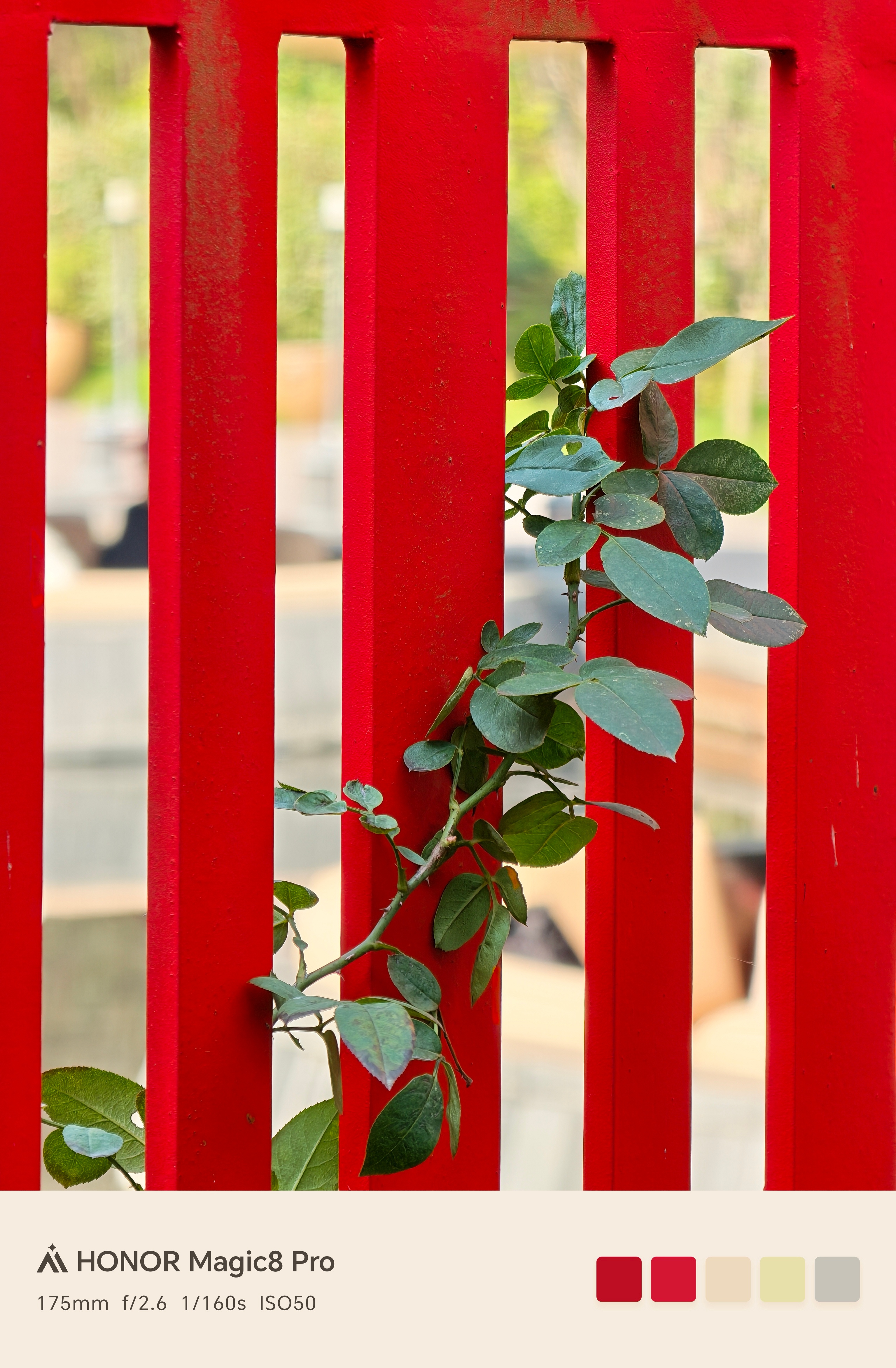 今天，但天气不错，适合爬山徒步。当然，我是爬不动的，在终点服务大家也挺好。还可以