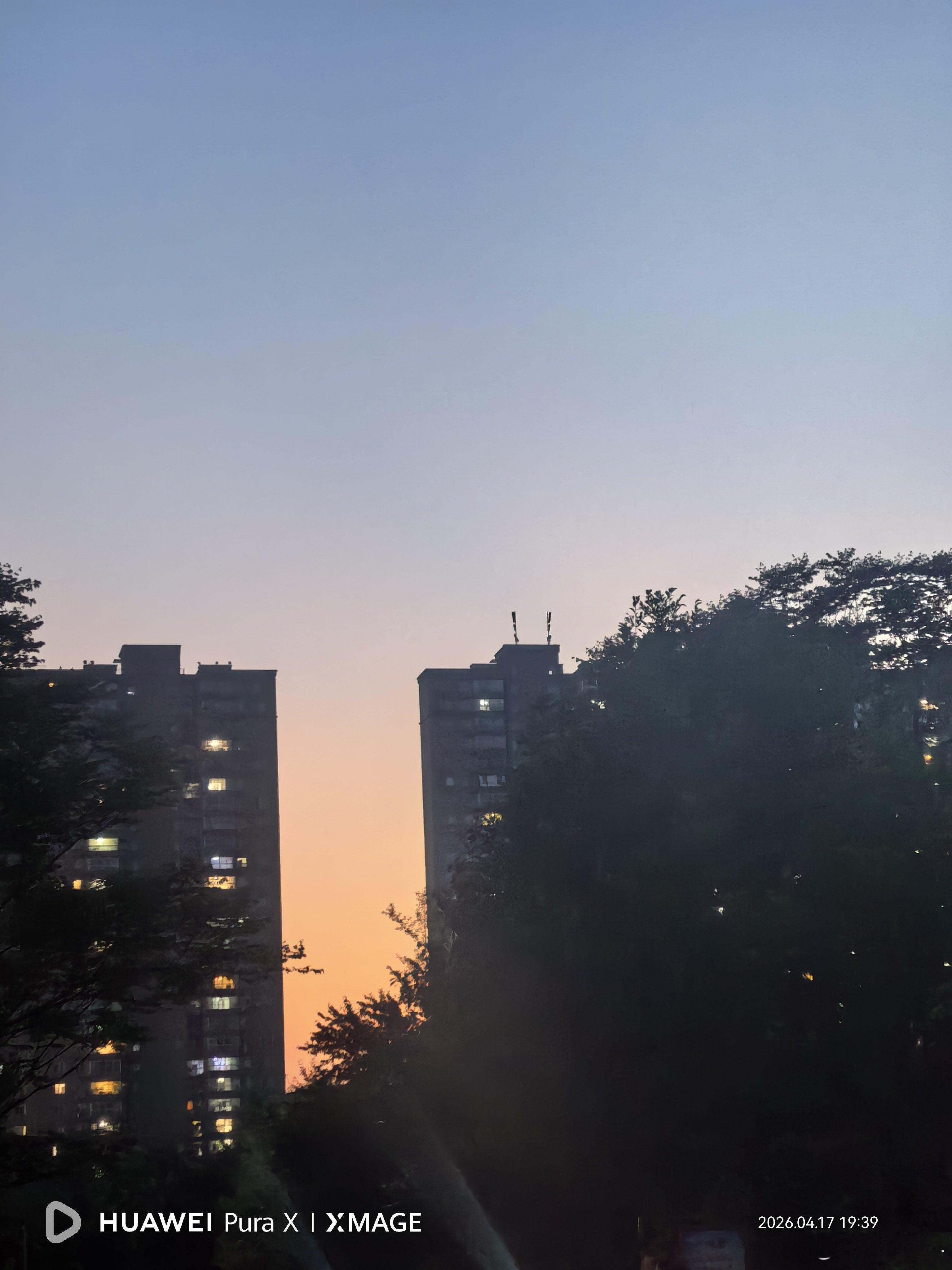 昨天下午拍的我们小区的橘子海！ 