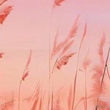 🌵阳光信用🌵每日一善🌵保持谦逊，我们在取得成绩时不沾沾自喜，在学习新知时虚
