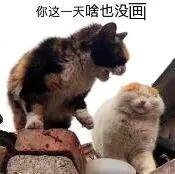 人是中午醒的，下午梳理cp糖点，晚上和同担畅聊产品黄，没空画画！ 