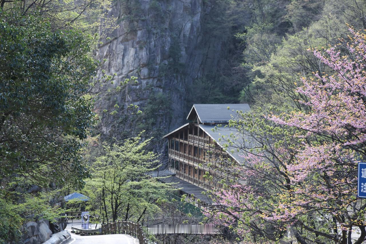 我分享一张之前在杨浦拍的春景照。三月的杨浦，简直美成了油画。照片里是新江湾城公园