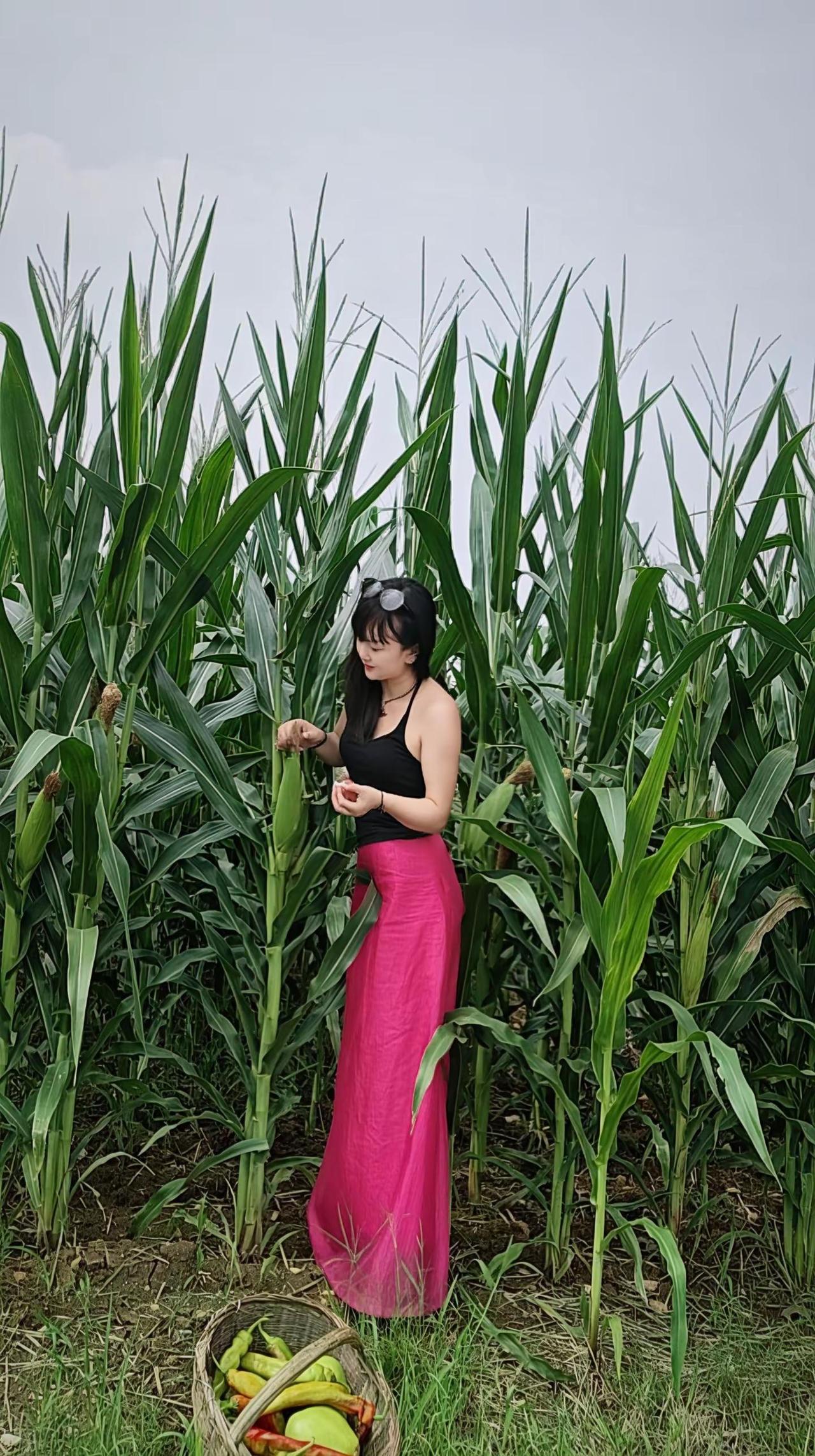 远离故乡，方知家乡的美好，异乡山水虽美好，不及家乡一草一木亲。