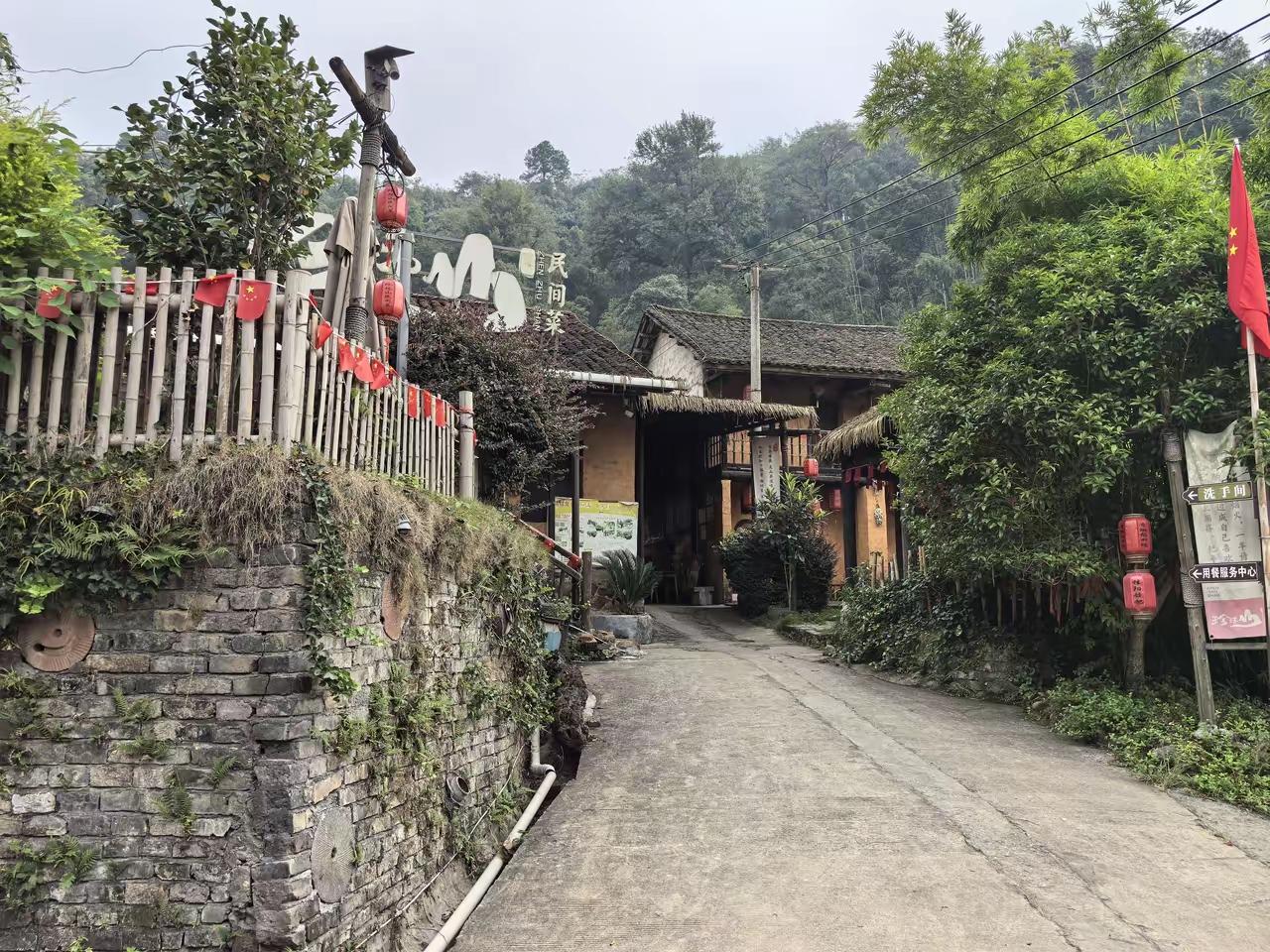 现在的农村缺的不是钱，也不是政策指导，缺的是人，原来的烟火气……村里转悠一圈，也