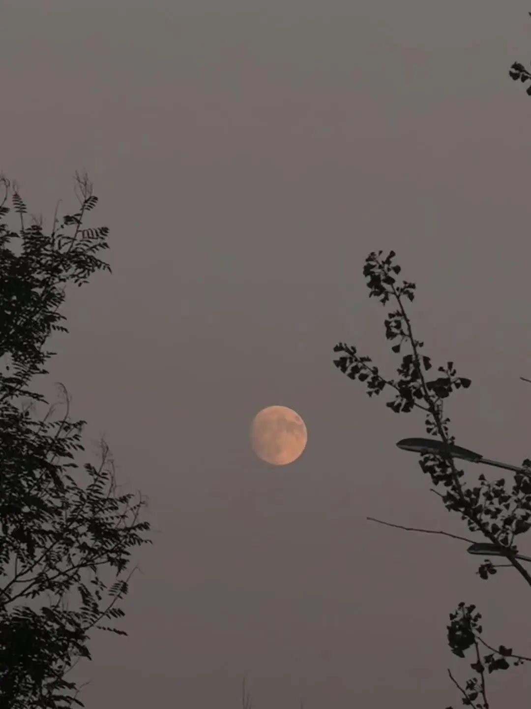 是月迟早圆 无非晚一点.🌔🪞