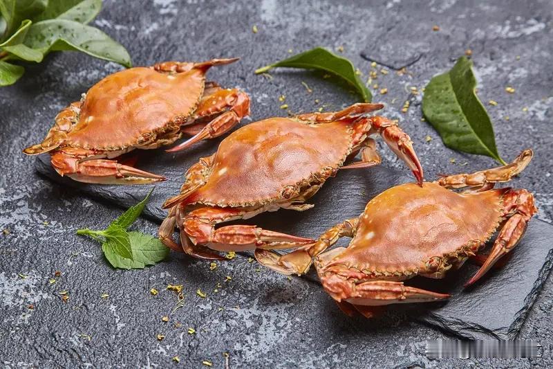 活煮螃蟹和龙虾，这事儿还挺有争议。英国科学家发现螃蟹能感知疼痛，这么一看，活煮它