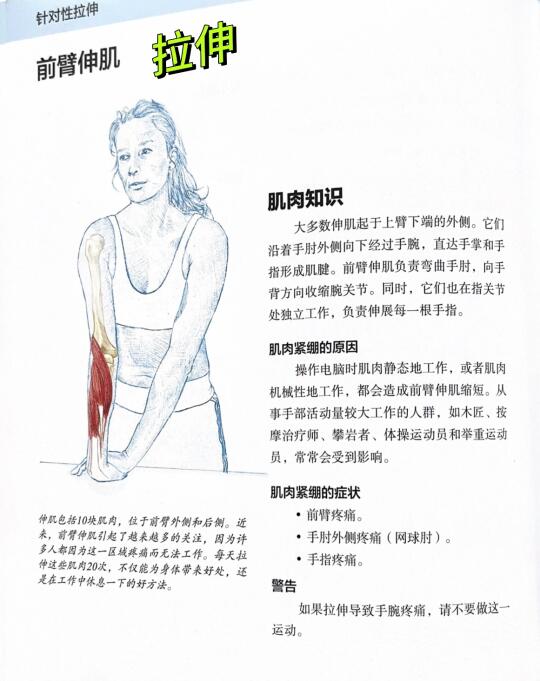 救命！被网球肘盯上的快练这个拉伸🔥