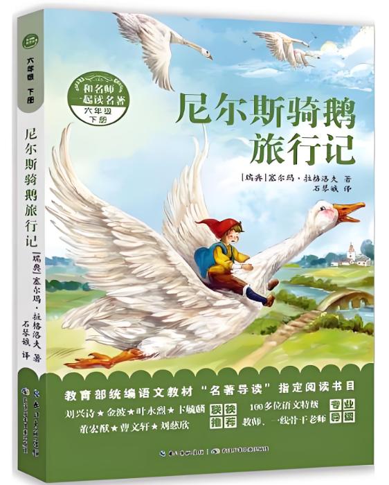 给《尼尔斯骑鹅旅行记》拟10条读后感标题
《从顽皮少年到英雄：尼尔斯的奇幻蜕变密