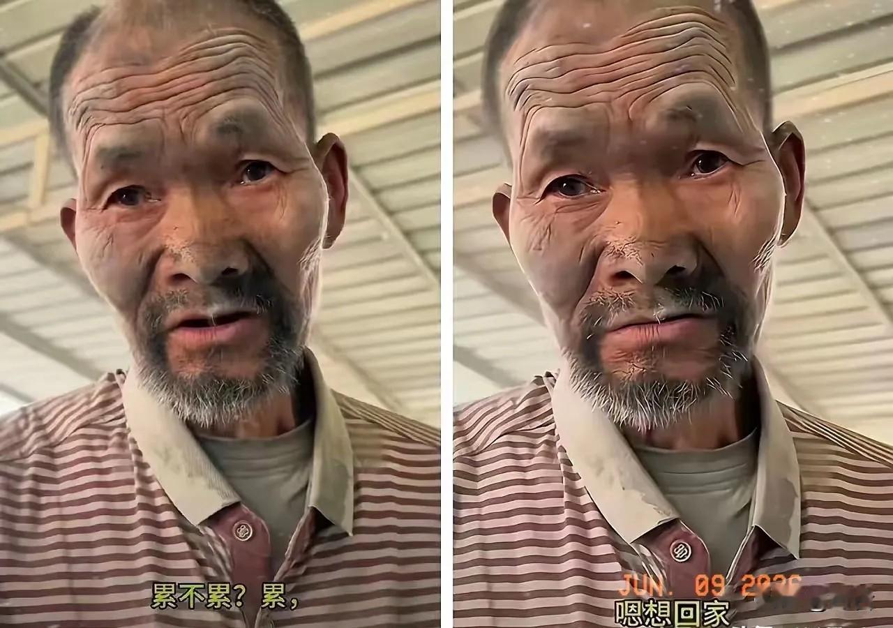 水泥厂老板进局子了，
水泥老人找到了家，
一切都回到了正轨，但是现在最大问题，老