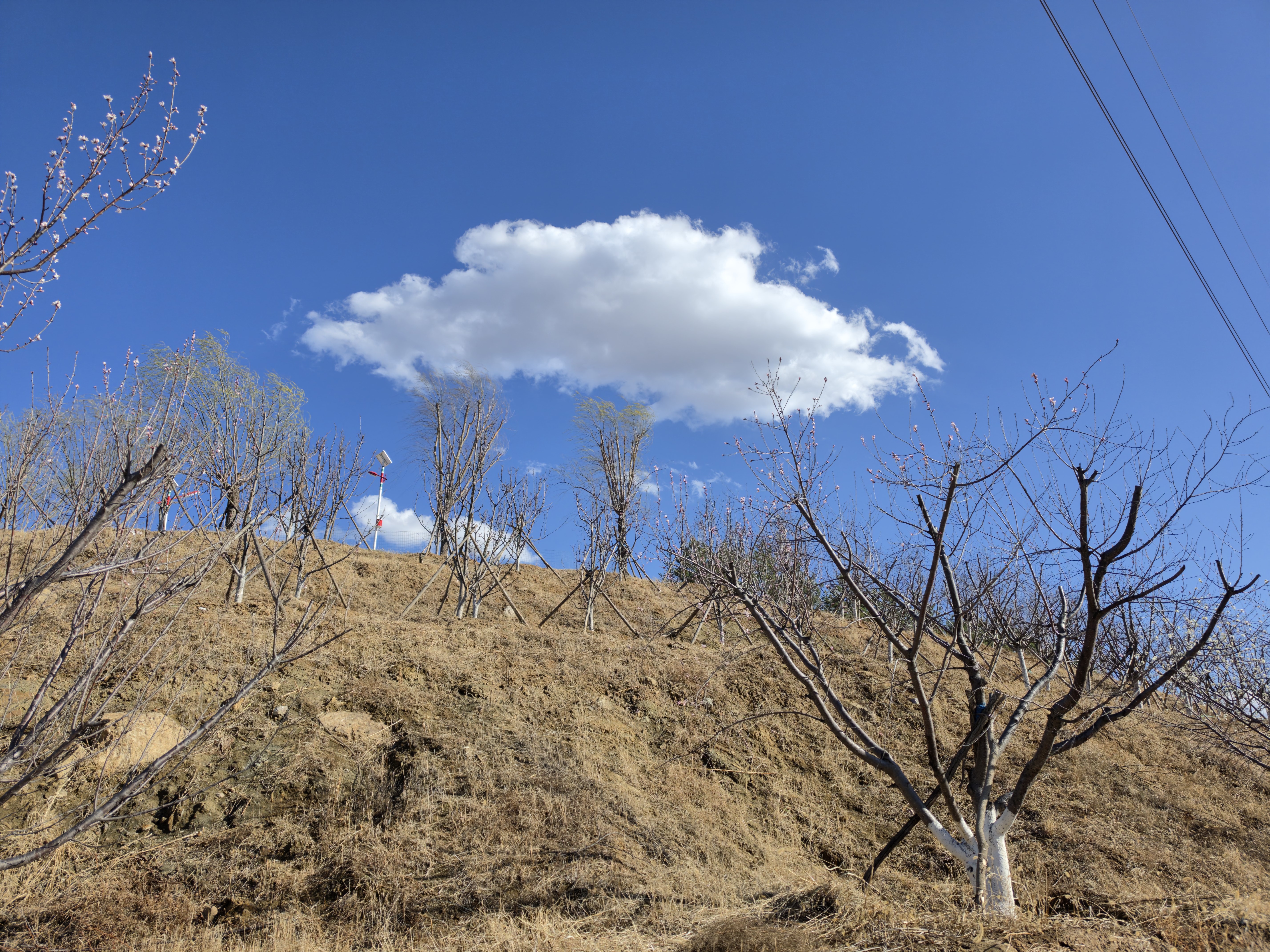 这个UFO伪装成云跟了我一路。 