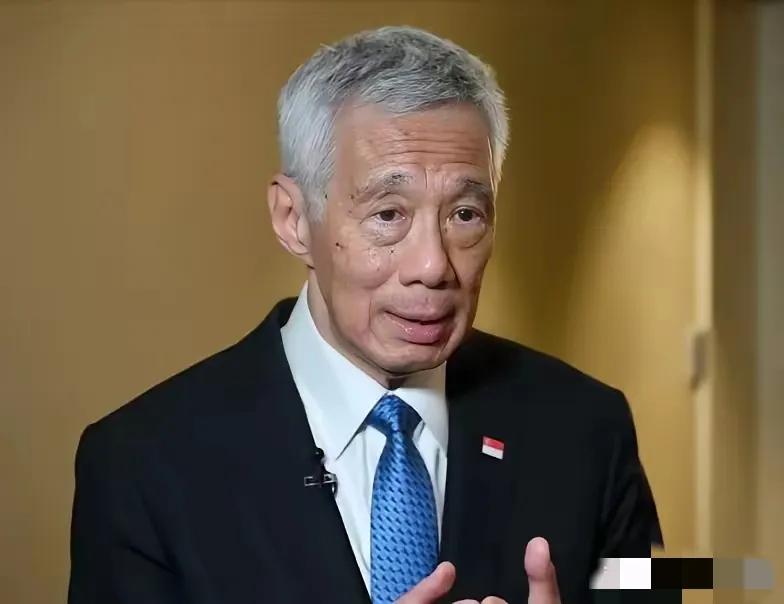 新加坡方面终于怕了！李显龙这次说了一句大实话：如果世界都按美国的规矩玩，小国就真
