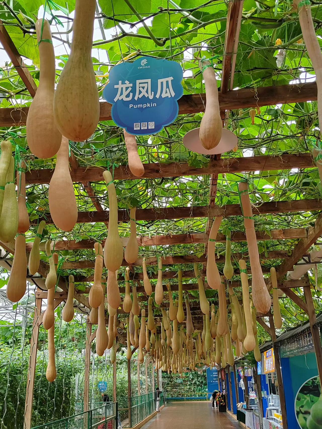 旅行随手拍