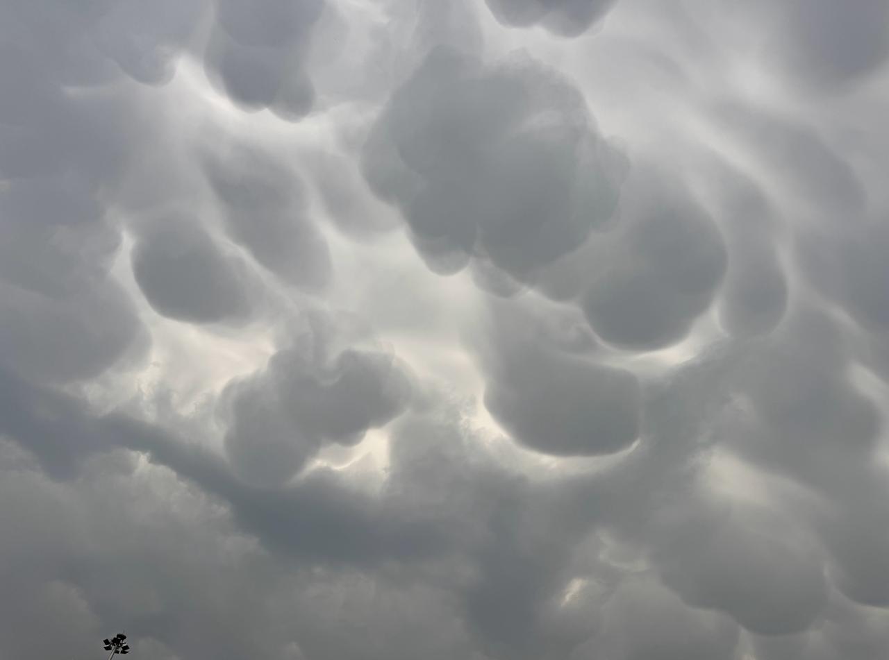 这会儿的北京头顶天空，挺壮观的乳状云，大风大雨又要来了。 ​​​