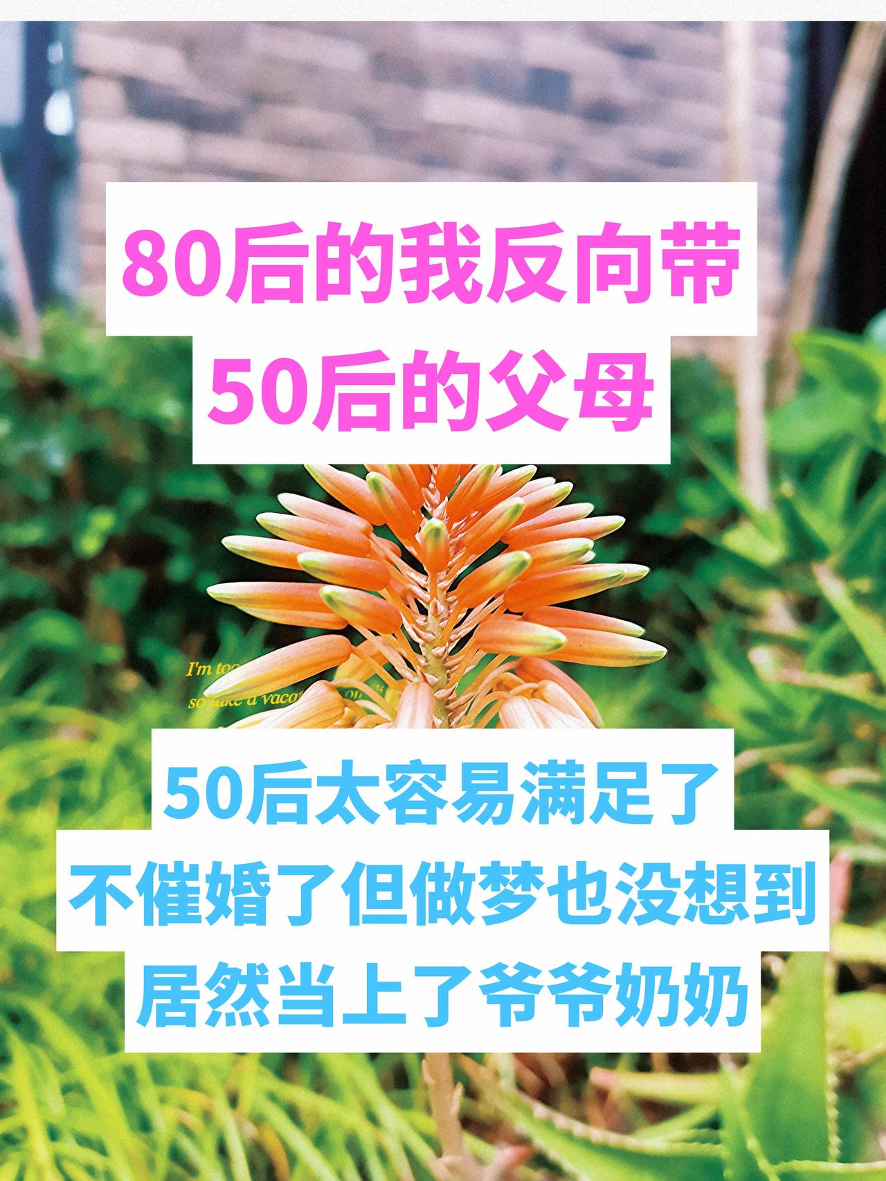 2年不见，再次见到70多岁的老父亲老母亲，明显感觉到了岁月在他们脸上留下的痕迹越
