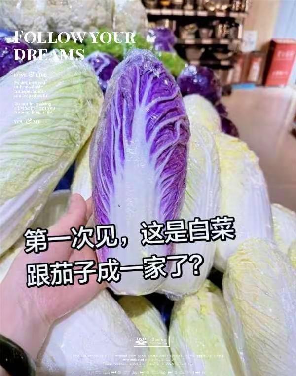 🥬这白菜是染了晚霞吧！紫白渐变美到我都舍不得吃✨在菜市场随手拍都能出片，原来生