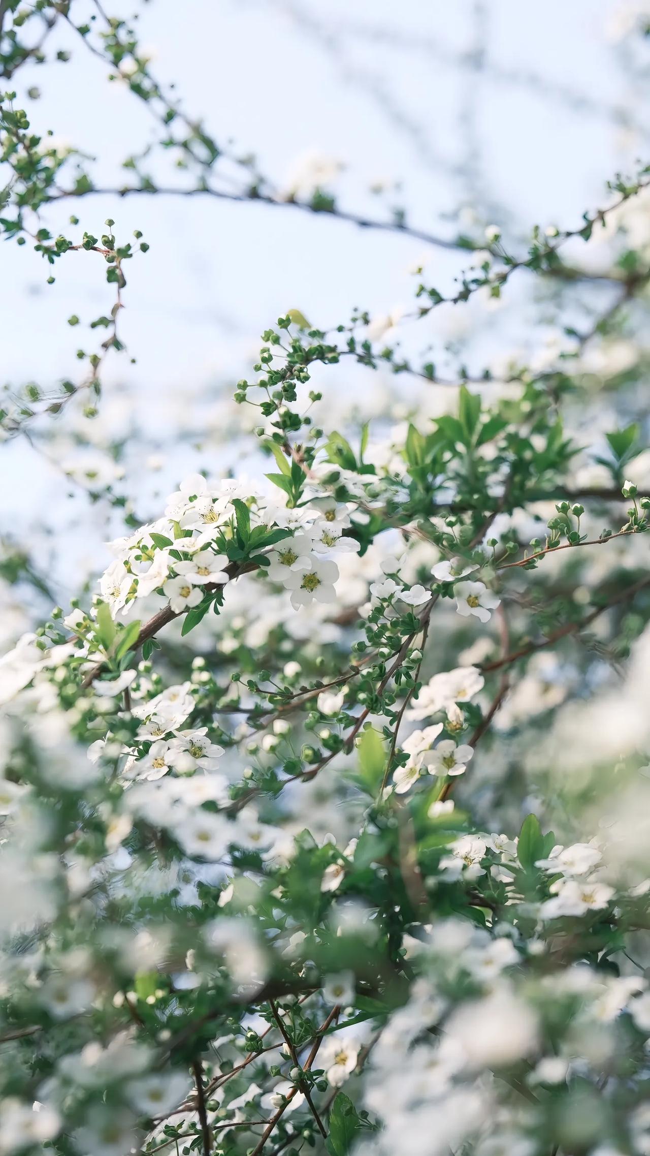 老美扬言打不过就封锁霍尔木兹海峡，这完全是地痞流氓的做派，倒也符合他们一贯的风格