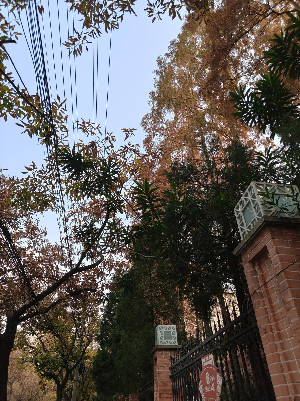 争取早日退休躺平，有时间去看看祖国的大好河山～⛰️⛰️⛰️⛰️


冬日午后随手