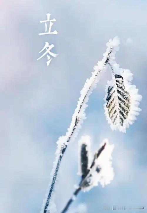 “立冬雨挡门，正月雪堵门”
今日立冬，虽然不至于“雨挡门”，却也一直是蒙蒙细雨，