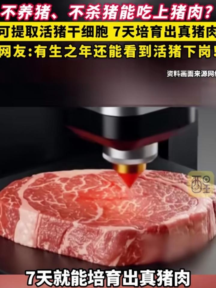 实验室里7天造出鲜猪肉，生猪要下岗。
不只是人工智能机器人让农民工下岗，培养肉出