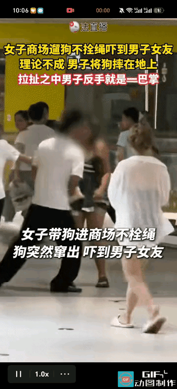 本来一句道歉就可以解决的事儿！女子遛狗逛商场不拴狗绳，吓到男子女友，男子上前理论