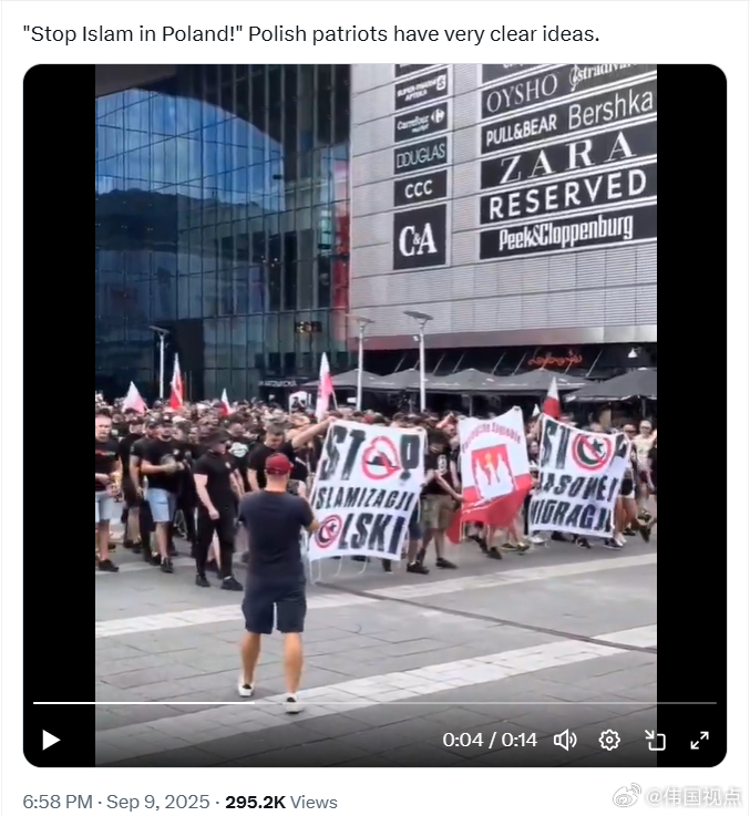 波兰爱国者的立场非常明确：“停止波兰伊斯兰化！” ​​​