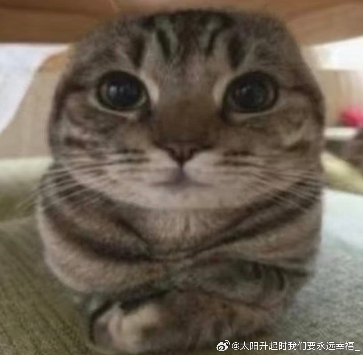 本人的乐观表现为每次想到啥稍微感觉天塌了，比朋友的安慰开导先来的是我自己的释然，