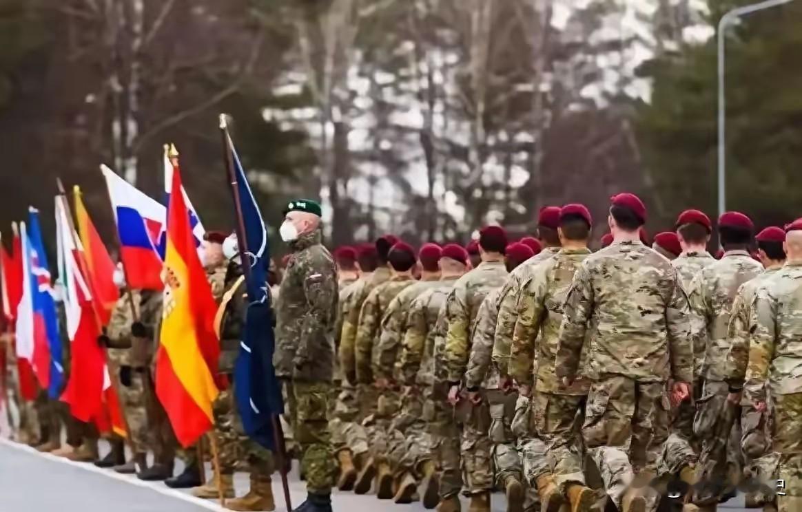 欧洲计划先动手了！
​欧洲认为老美铁了心要强占格陵兰岛！与其被动抗议，不如先下手