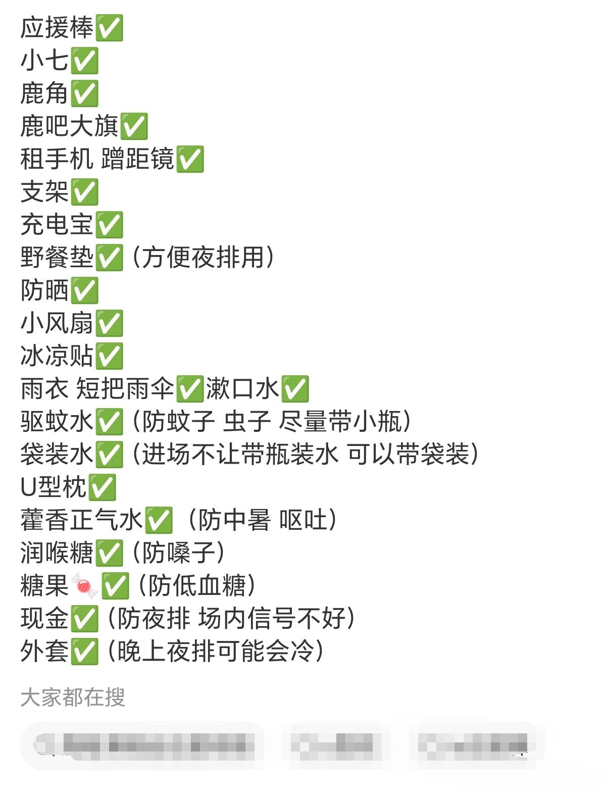 音乐节+夜排自己准备带的一些东西 如果还有宝宝不知道准备什么的 可以仅供参考