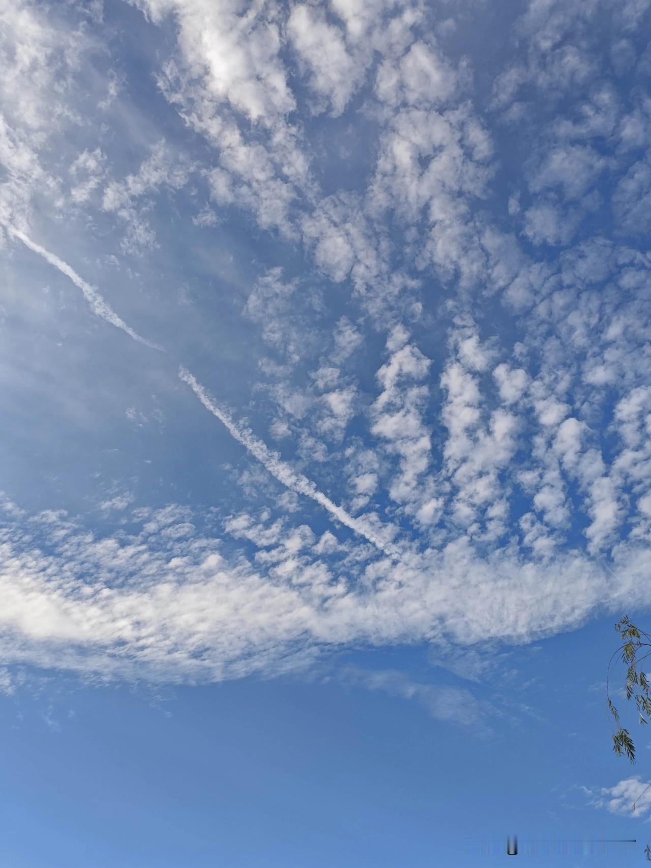 今日银川，邂逅治愈的蓝天白云！

      今日银川的天空美得令人惊叹，那片湛