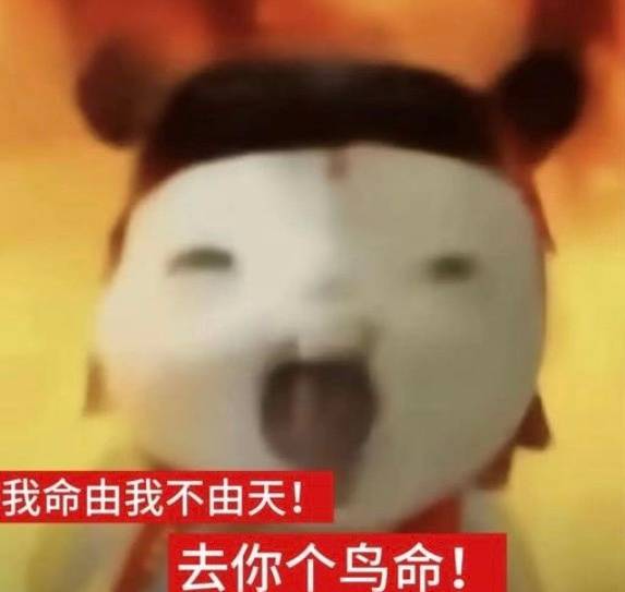 分享图片
