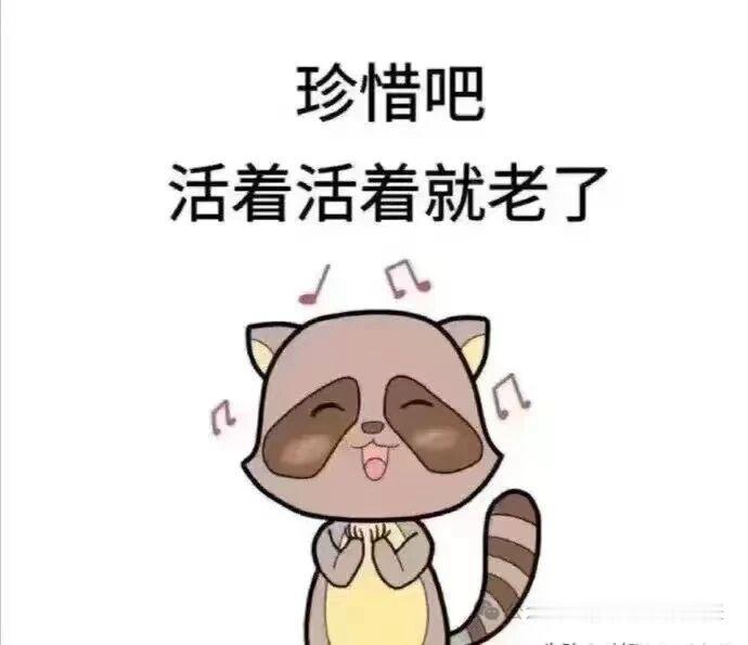北漂和杭漂对比：北京，租房贵，上班地铁拥挤，春天柳絮、杨絮、花粉容易让人过敏，冬