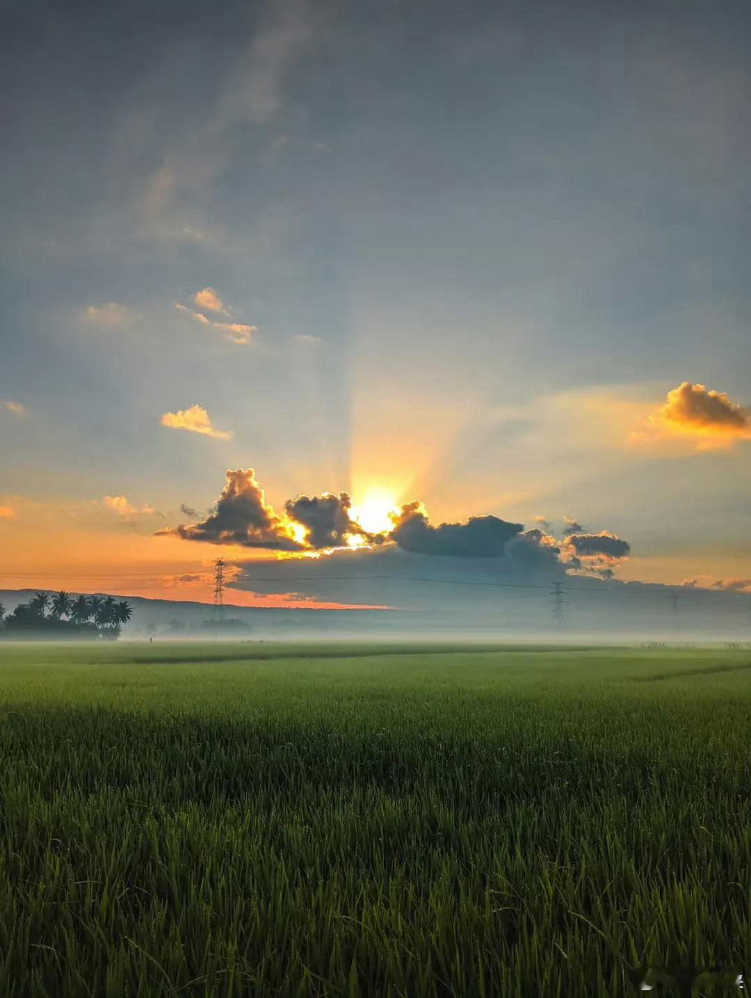 分享图片 ​​​