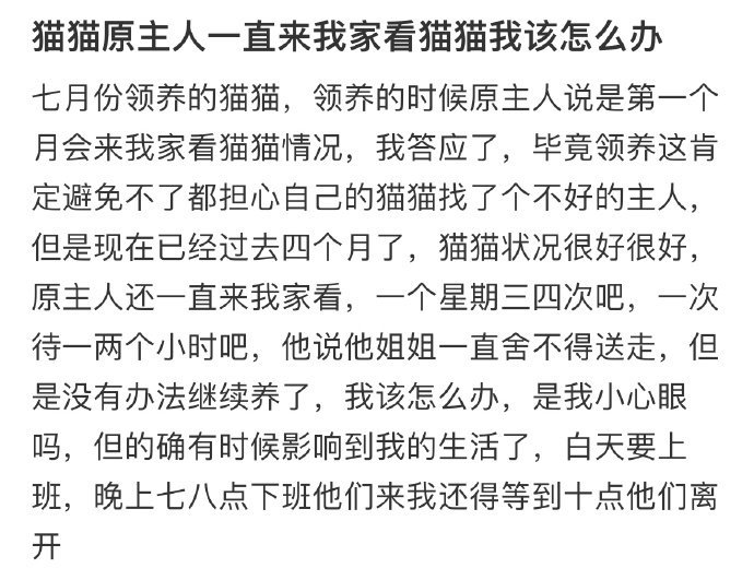 猫猫原主人一直来我家看猫猫我该怎么办? ??? 