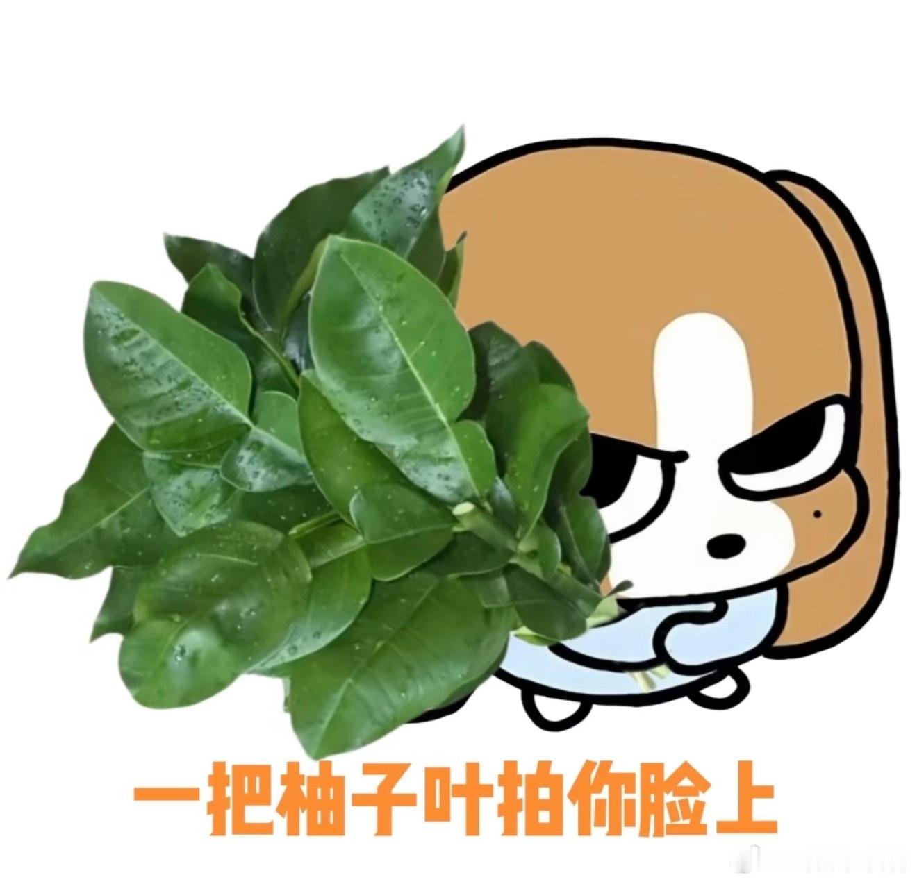 阳光信用 善良是一种修养，善待他人就是善待自己，要想得到别人的爱，首先要学会爱别