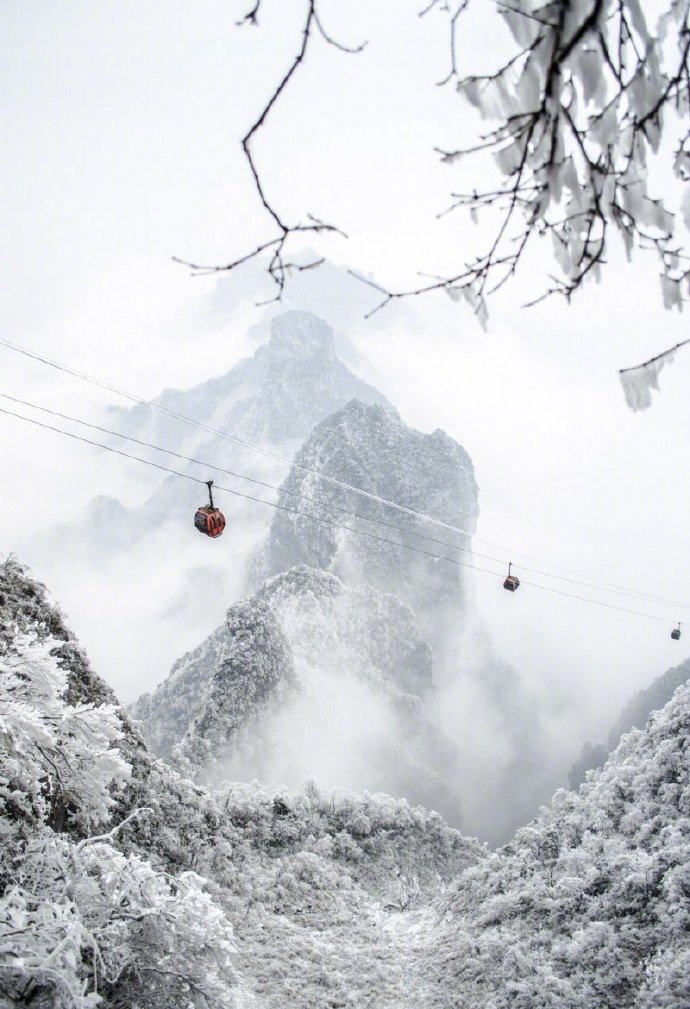 张家界的雪景 置身其中更震撼，那是一种无以伦比的美。 ​旅游旅游[超话] ​​​