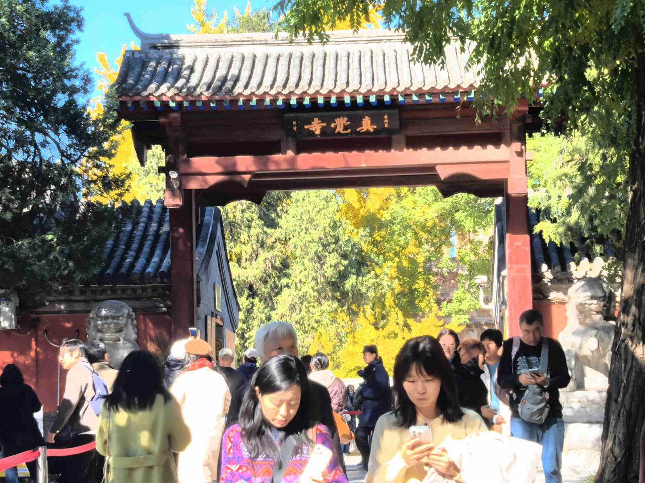 我的今日状态：😁轻松愉快
我这里的天气：☀️晴天