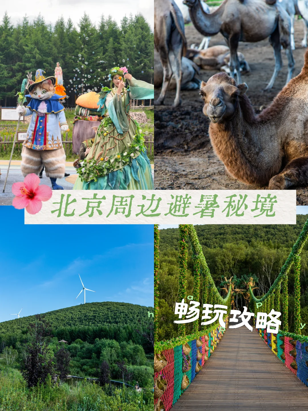 北京周边🌲 人少景美的七彩森林夯爆了
