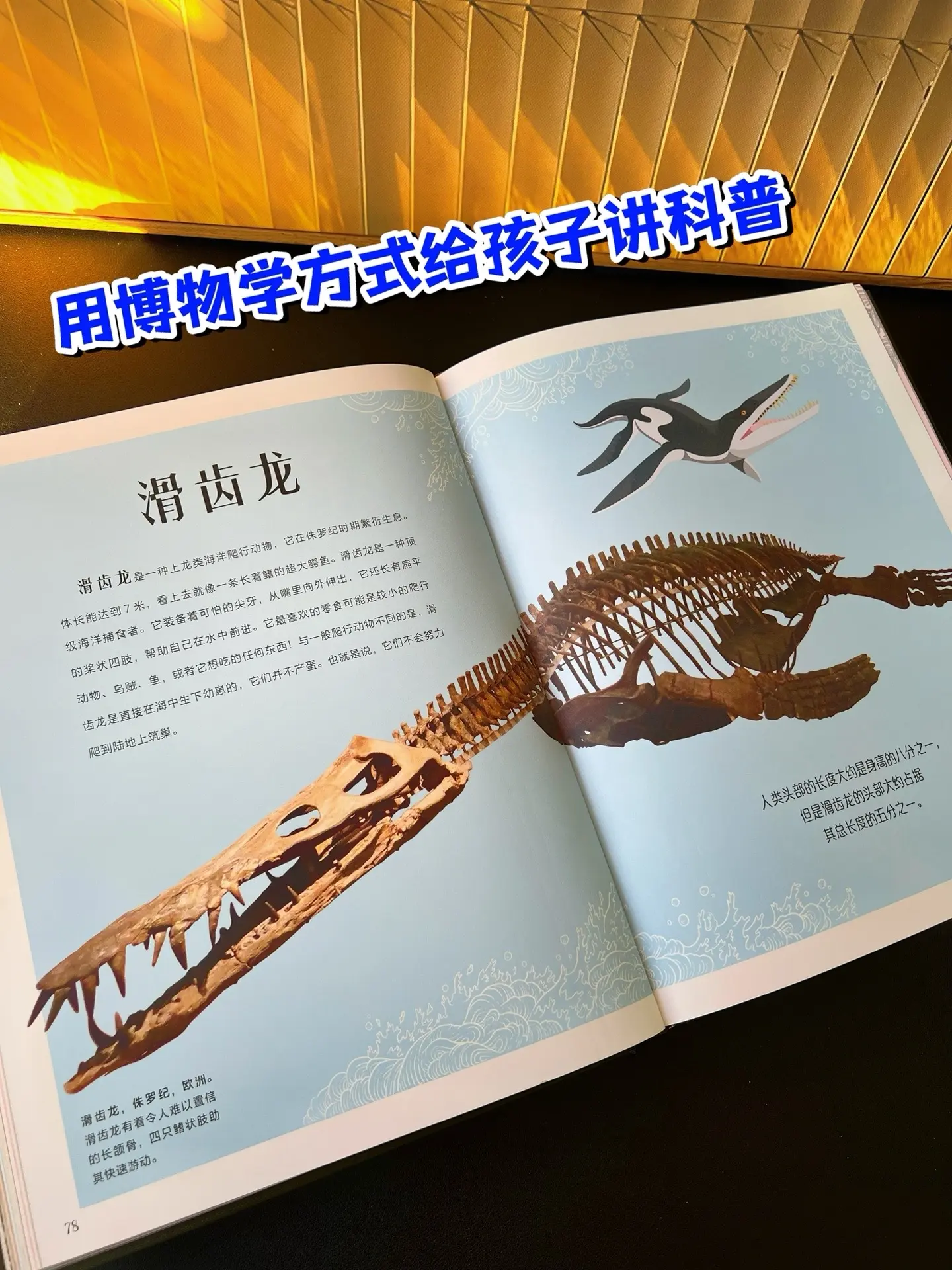 不愧是DK出版‼️太震撼了。这本书涵盖了从地球生命的起源到寒武纪生命大...