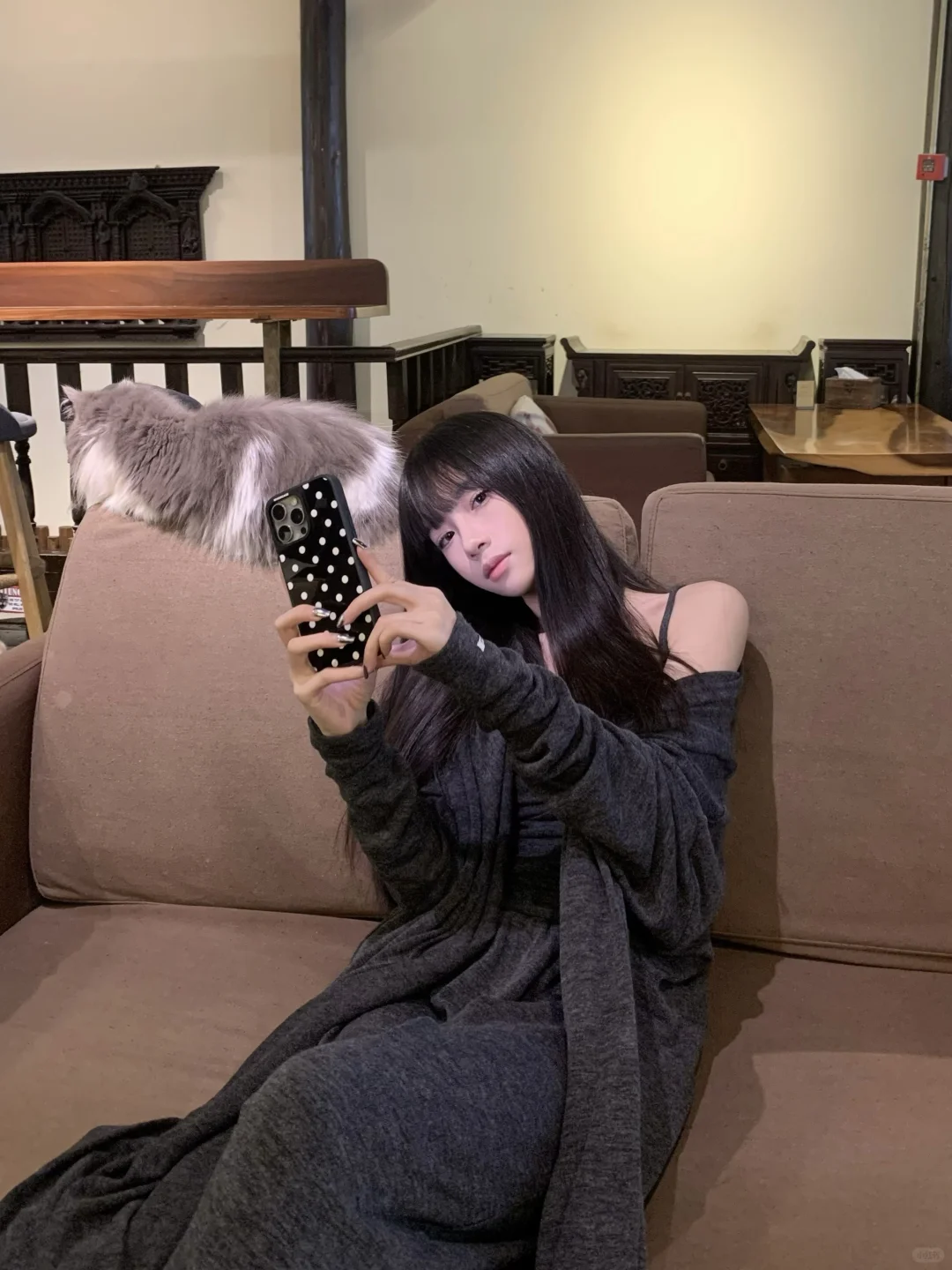 和猫猫