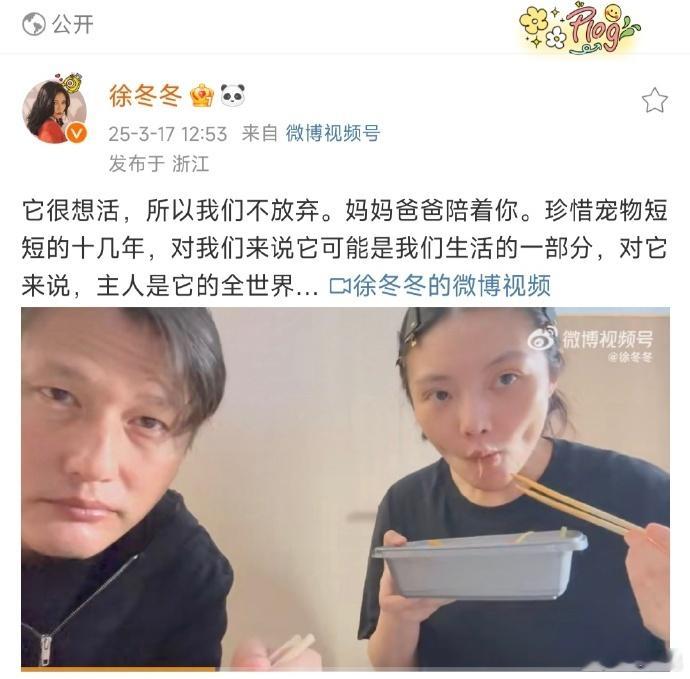 尹子维徐冬冬不放弃拯救重病的宠物徐冬冬尹子维为救Tina拼了！彻夜守着毛孩子抢救