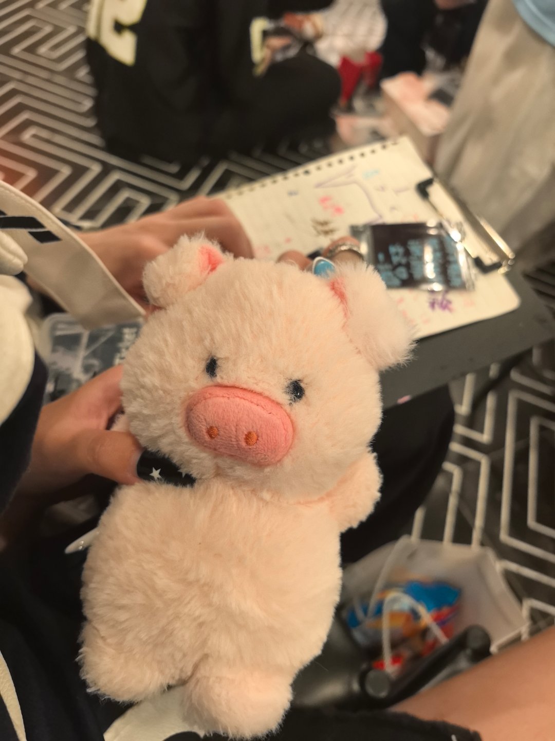 这只猪是他 
