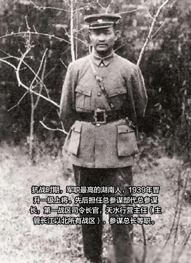 传统文化传承 说唱历史 程潜湖南