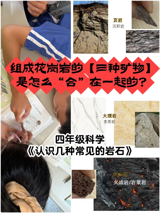 一定要给学生看【大图】！震撼又直观！！