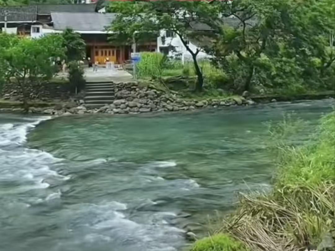 绿野
一弯溪水绕村前，
绿树葱茏翠色连。
雨足田畴生气盎，
风翻麦浪暗香传。