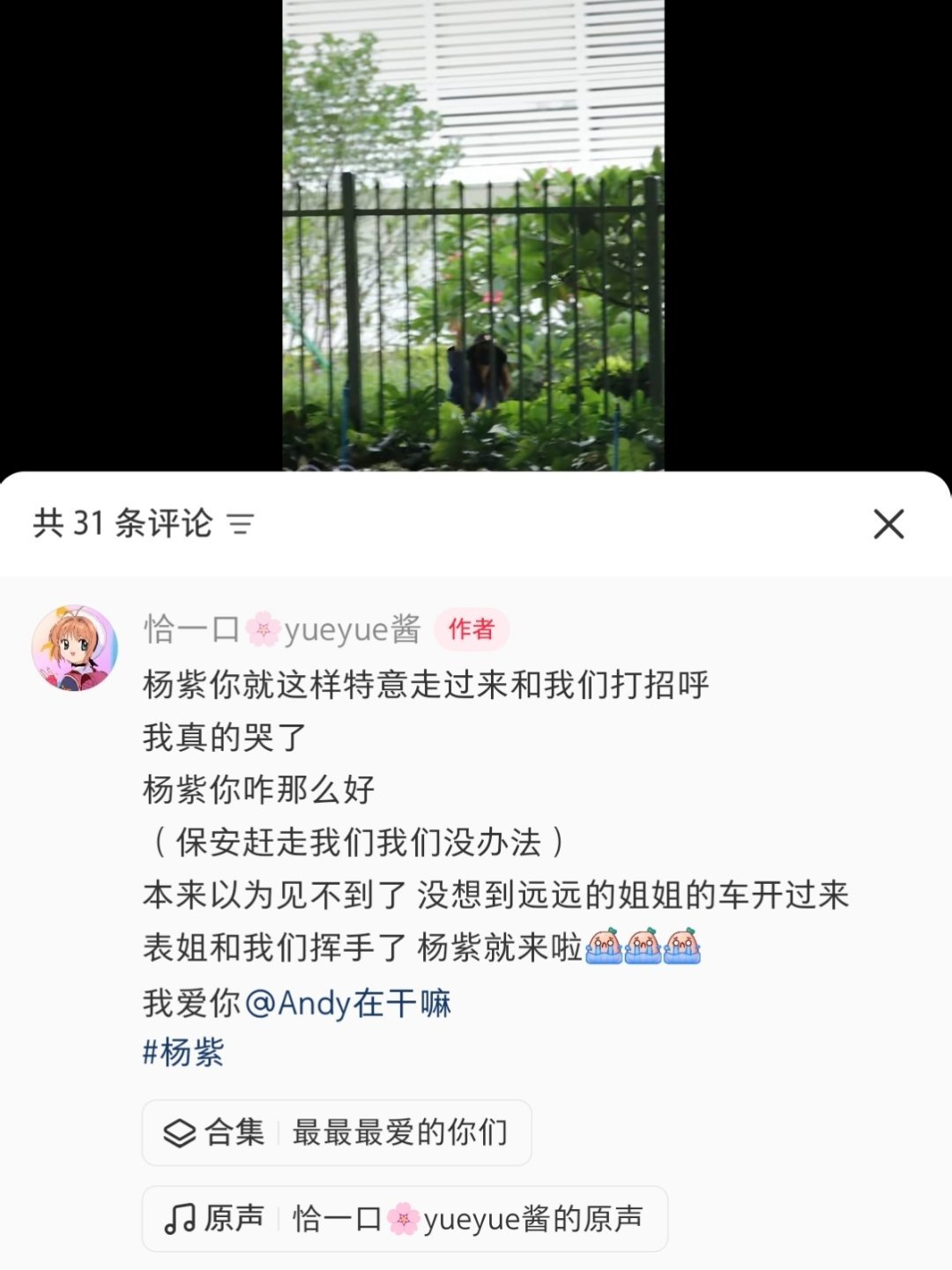 广州机场虐我们千万遍，也抵挡不住杨紫和紫米双向奔赴 杨紫特意走到围栏跟紫米打招呼