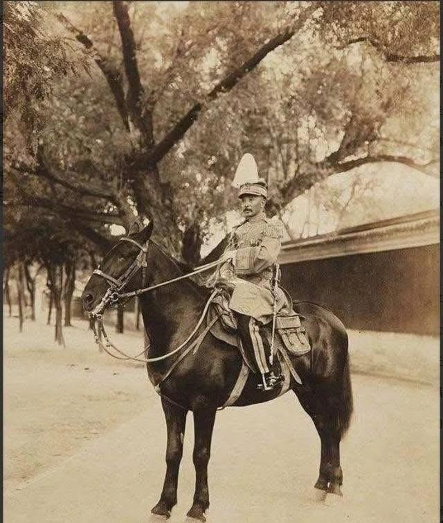 1915年夏，张作霖晋见袁世凯，一见面便迫不及待地说：“我带着几个把兄弟把八大胡