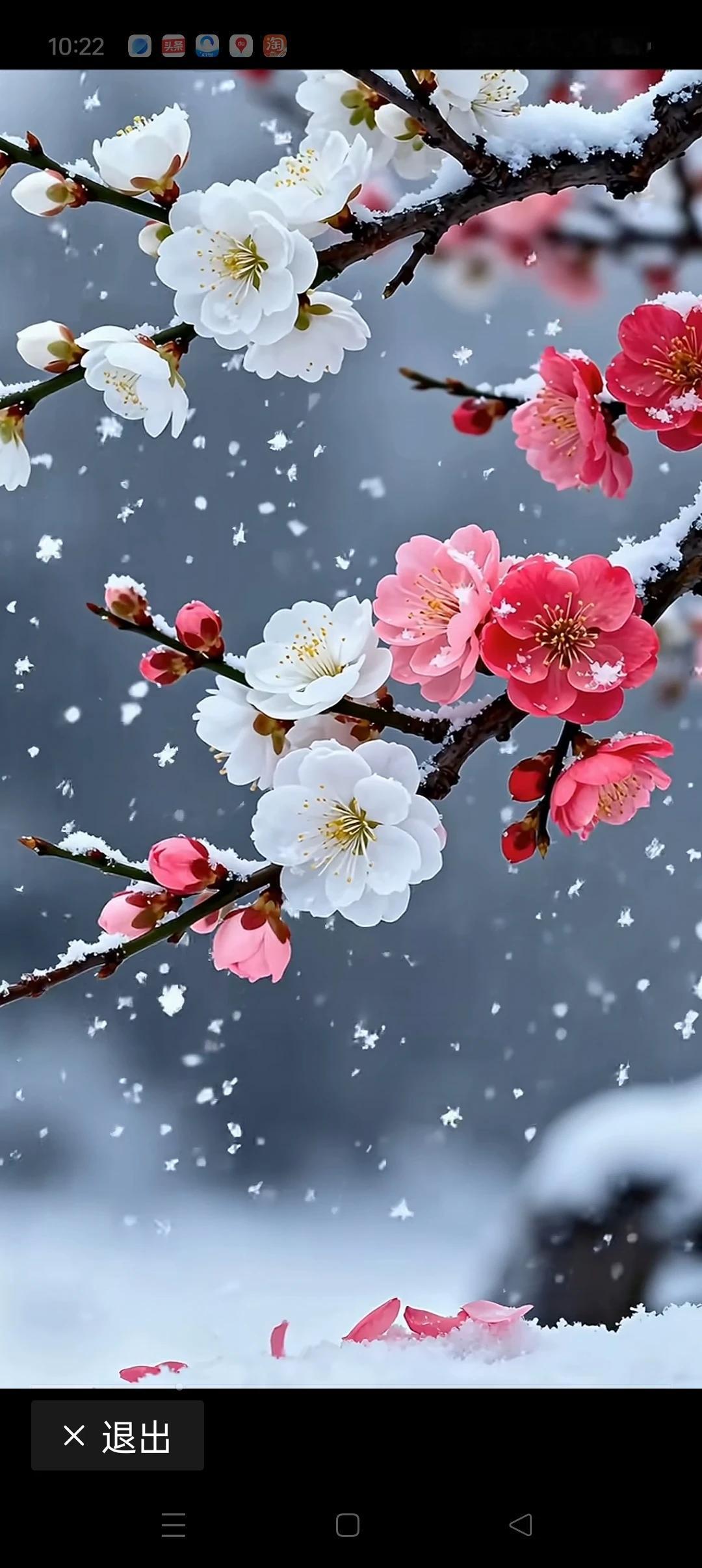 文笔挑战:

雪花闻得梅花香
欲与梅花做鸳鸯
待到日出雪融化
依依不舍诉衷肠。