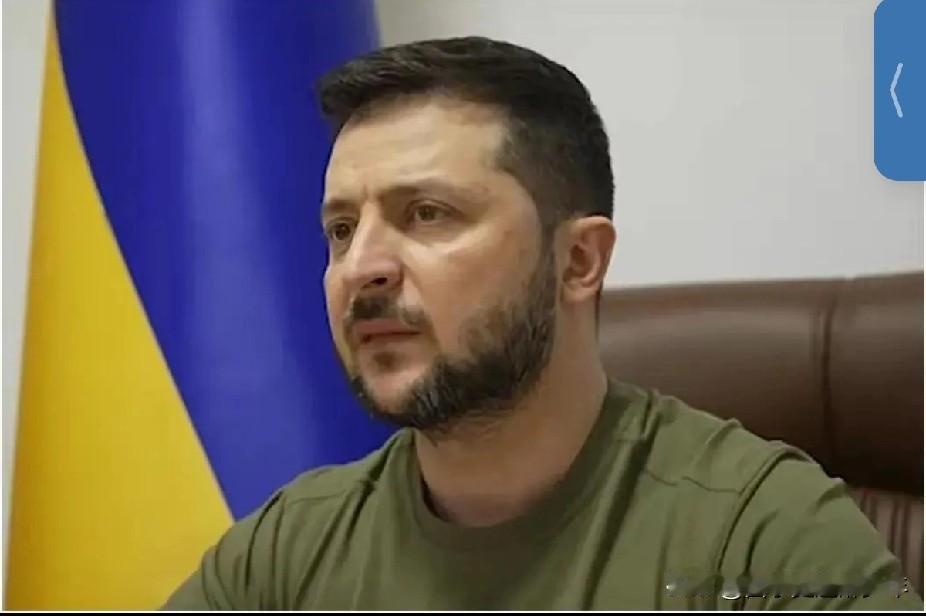 泽连斯基真的即可恨又可怜，俄罗斯是揍，谁让你不听话，还想加入北约，引狼入室，我就