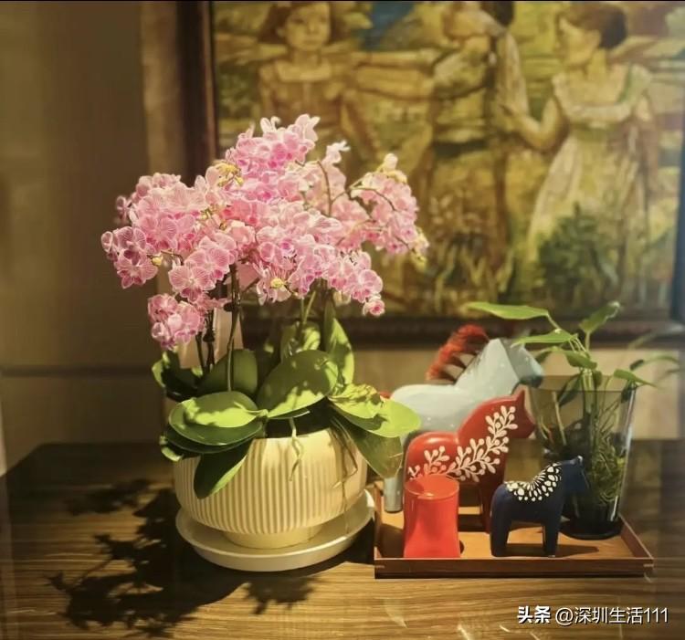 “普通人的生活基本上都是这样的”

今天吃午饭的时候，听到两个女同事在聊天，一位